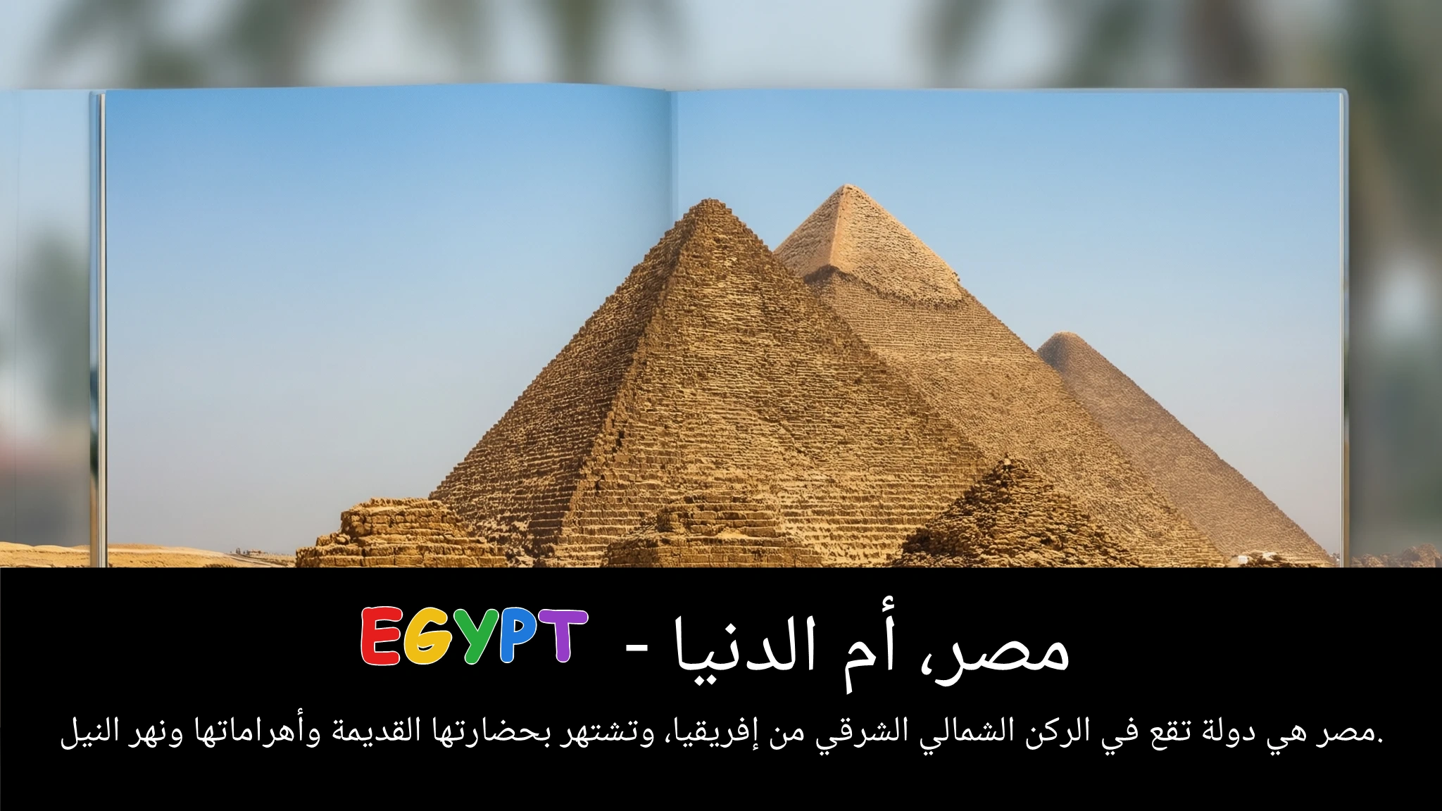 Arabic Illustration for Egypt